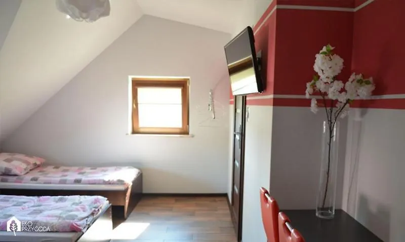 Noclegi u Mirka-1