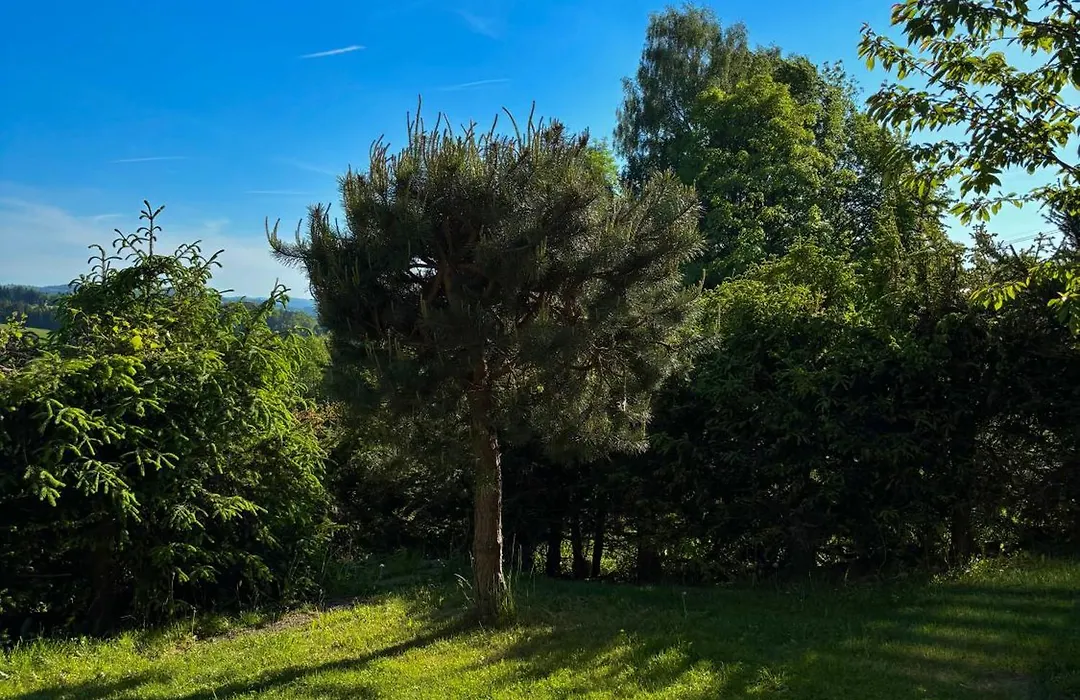 Domek u Małysza Istebna-1