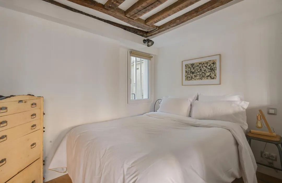 Cosy & Bright Under The Beams On Place Dauphine Id 319-1