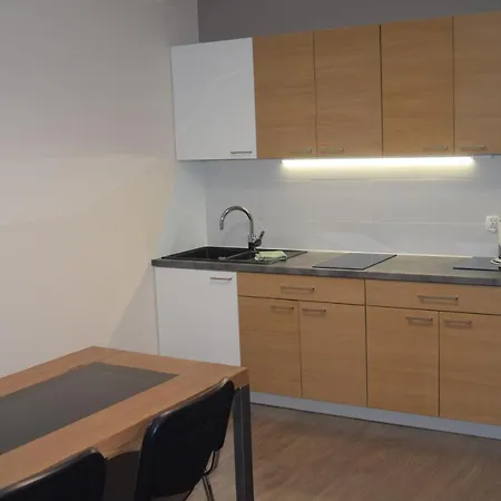 Apartamenty Zamkowa-3