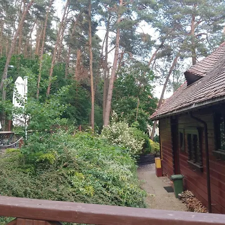 Apartamenty Pod Sosnami-3