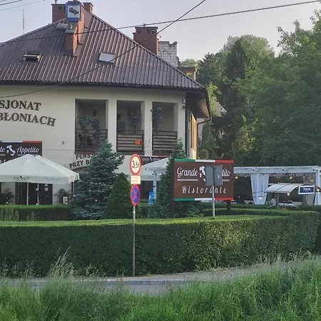 Pensjonat Przy Błoniach-3