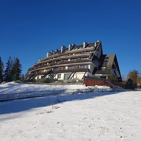 Butorowy Residence Apartament "Gorska Orchidea"-3