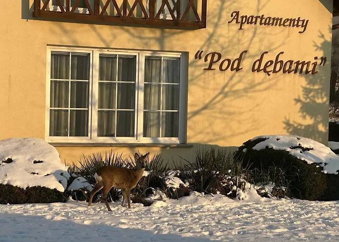 Willa Pod Dębami Kudowa-Zdrój