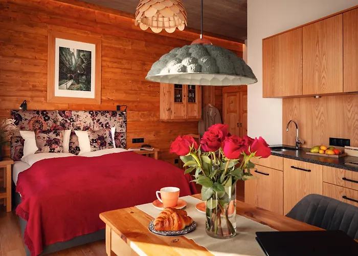 Apartamenty u Harrego BOUTIQUE SPA z klimatyzacja, balkon, sauna, tężnia parking Kudowa-Zdrój